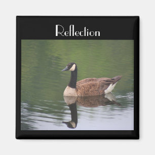 Canada Goose Reflection Inspirational Magnet