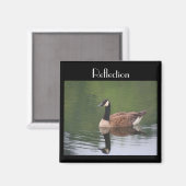 Canada Goose Reflection Inspirerend Magnet Magneet (Voorkant / Achterkant)