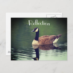Canada Goose Reflections Inspirerend Briefkaart
