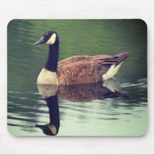 Canada Goose Reflections Natuur Muismat