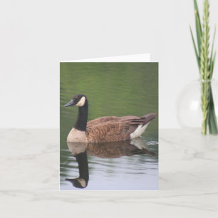 Canada Goose Reflections Natuur Notitie Kaart