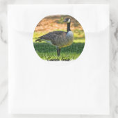 CANADA GOOSE RONDE STICKER (Tas)