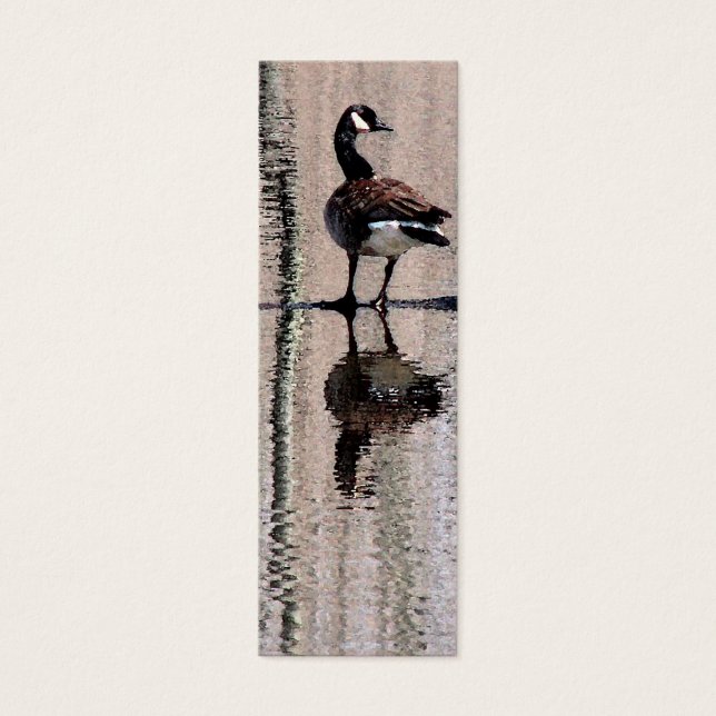 Canada Goose Signet (Devant)