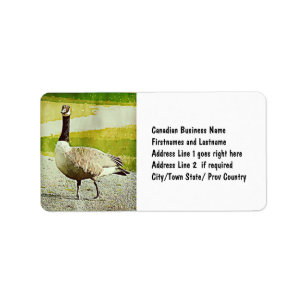 Canada Goose - Waterverf Painted Effect Etiket