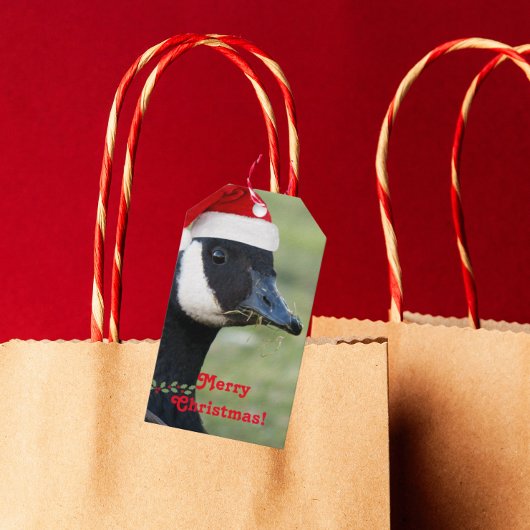 Canada Goose Wearing Santa Hat Holiday Cadeaulabel