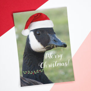 Canada Goose Wearing Santa Hat Holiday Feestdagen Kaart