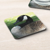 Canada Goose Wildlife Foto Bier Onderzetter (Linkerzijde)