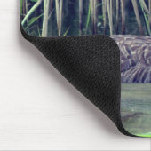 Canada Goose Wildlife Natuur Muismat (Hoek)