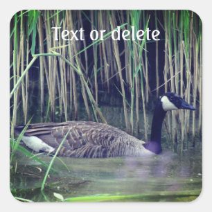 Canada Goose Wildlife Natuur Personalized Vierkante Sticker