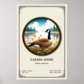 Canada Goose Zoology Series Poster (Devant)