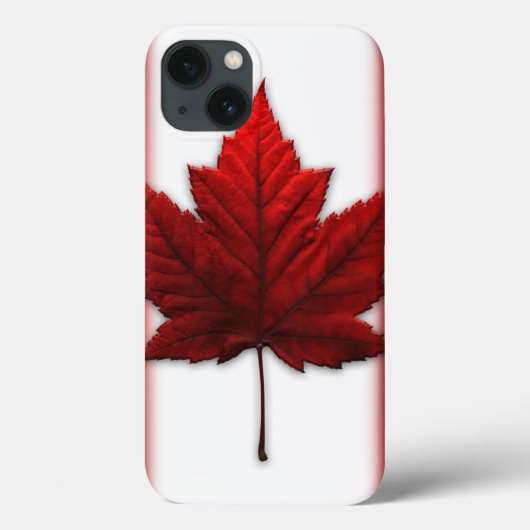 Canada iPad Case Canada Souvenir iPad Case (Achterkant)