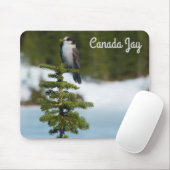 Canada Jay Muismat (Met muis)