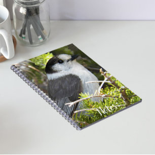 Canada Jay Natuur Foto Notitieboek