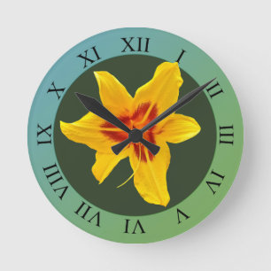Canada Lilly Flower Blossom Ronde Klok