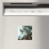 Canada lynx magneet (Insitu (Vaatwasser))