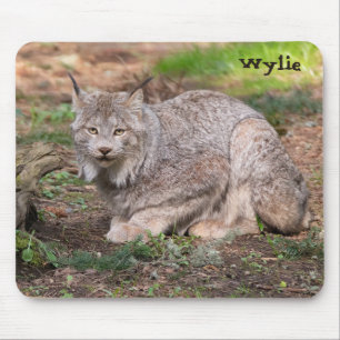 Canada Lynx Natuur Lover - aangepaste naam Muismat