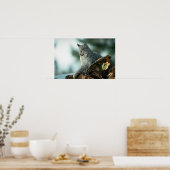Canada lynx poster (Keuken)