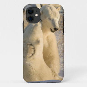 Canada, Manitoba, Hudson Bay, Churchill. iPhone 11 Hoesje