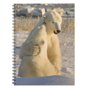 Canada, Manitoba, Hudson Bay, Churchill. Notitieboek