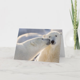 Canada, Manitoba, Hudson Bay, Churchill. Polar Kaart