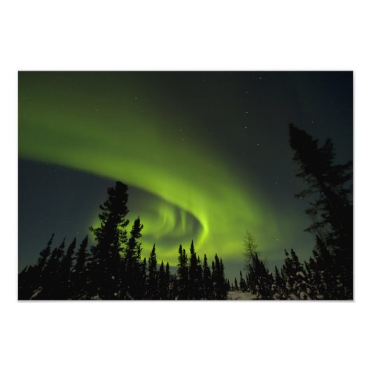 Canada, Manitoba. Uitzicht van aurora borealis en Foto Afdruk (Voorkant)