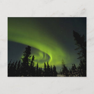 Canada, Manitoba. Zicht op aurora borealis en Briefkaart