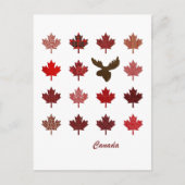 Canada Maple Leaf en Moose briefkaart (Voorkant)