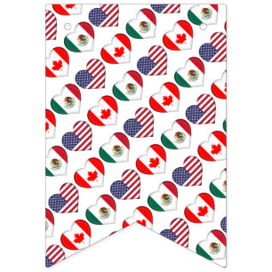 Canada Mexico USA als gastland voor het Football T Vlaggetjes