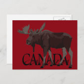 Canada Moose Briefkaarten Canadian Souvenir Briefk (Voorkant / Achterkant)