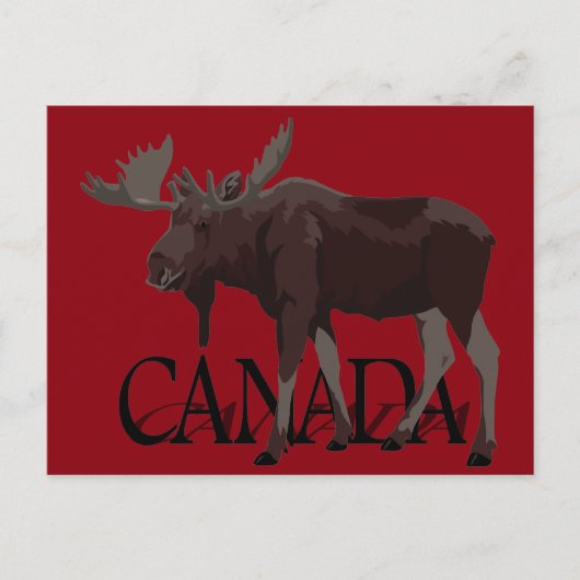 Canada Moose Briefkaarten Canadian Souvenir Briefk (Voorkant)