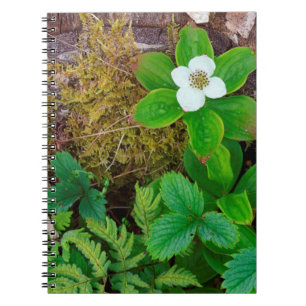 Canada, New Brunswick, , 2 Notitieboek
