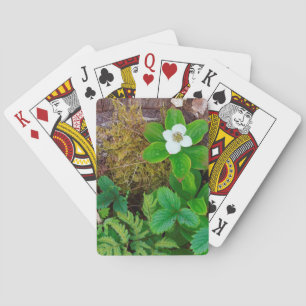 Canada, New Brunswick, , 2 Pokerkaarten