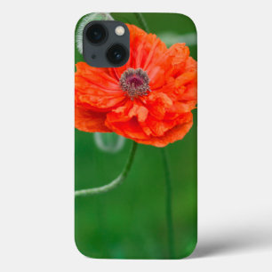 Canada, New Brunswick, , iPhone 13 Hoesje