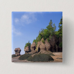 Canada, New Brunswick, Hopewell Cape, Baai van Vierkante Button 5,1 Cm