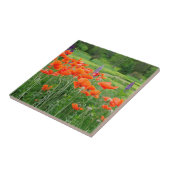 Canada, New Brunswick, . Landschap Tegeltje (Zijkant)