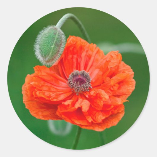 Canada, New Brunswick, Ronde Sticker (Voorkant)