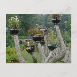 Canada, New Brunswick, St Andrews. Theekan Briefkaart