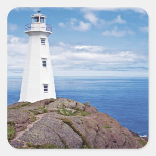 Canada, Newfoundland, Cape Spear Nationaal Vierkante Sticker