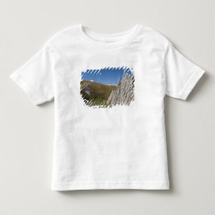 Canada, Newfoundland en Labrador, L'Anse Aux 2 Kinder Shirts