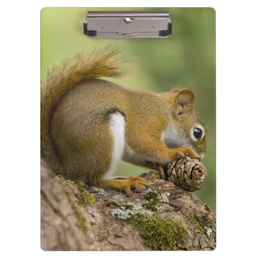 Canada, Nova Scotia, Halifax. Publieke tuinen Klembord (Voorkant)