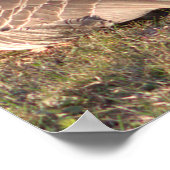 Canada Poster (Hoek)