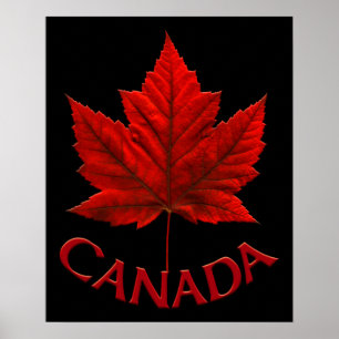 Canada Poster Canada Maple Leaf Souvenir Print