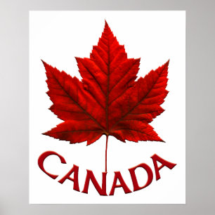 Canada Poster Canada Maple Leaf Souvenir Print