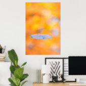 Canada, Quebec | Behoudspark St.-Bruno Poster (Thuiskantoor)