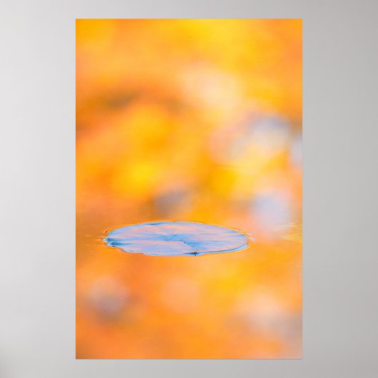 Canada, Quebec | Behoudspark St.-Bruno Poster (Voorkant)