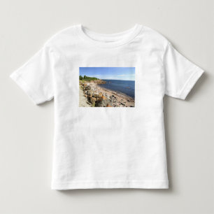 Canada, Quebec. VIA Rail Canada trein The 2 Kinder Shirts