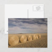 Canada, Saskatchewan, Craik: Hooibalen / Herfst Briefkaart (Voorkant / Achterkant)