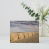 Canada, Saskatchewan, Craik: Hooibalen / Herfst Briefkaart (Staand voorkant)