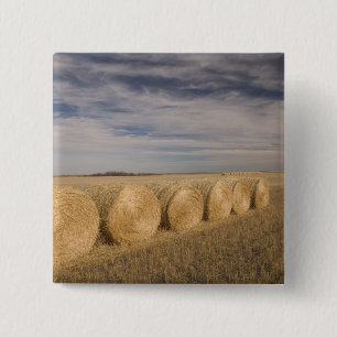 Canada, Saskatchewan, Craik: Hooibalen / Herfst Vierkante Button 5,1 Cm