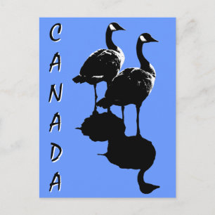 Canada Souvenir Briefkaarten Canada Gese Kaarten